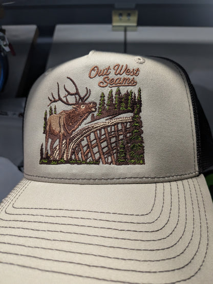 Out west Seams Elk