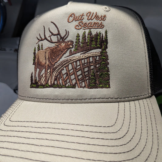 Out west Seams Elk