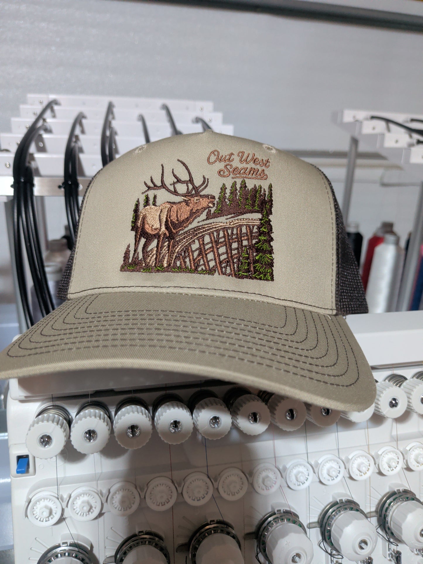 Out west Seams Elk